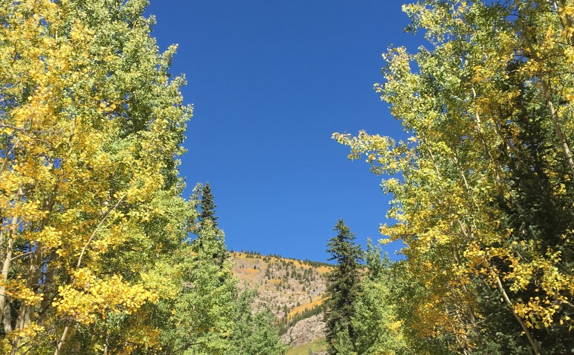 On Not Swimming the&nbsp;Suck